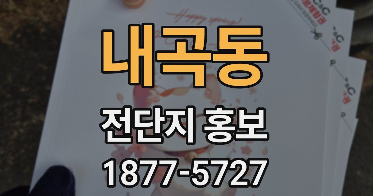 내곡동 전단지 홍보