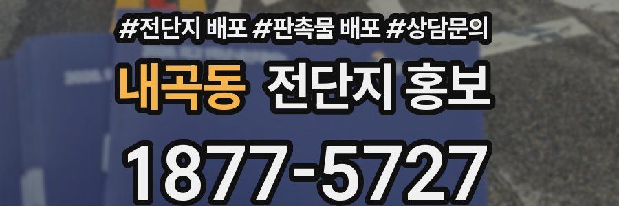 내곡동 전단지 홍보