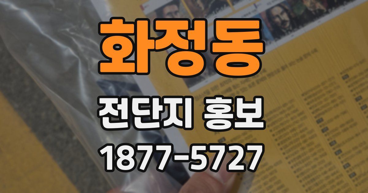 화정동 전단지 홍보