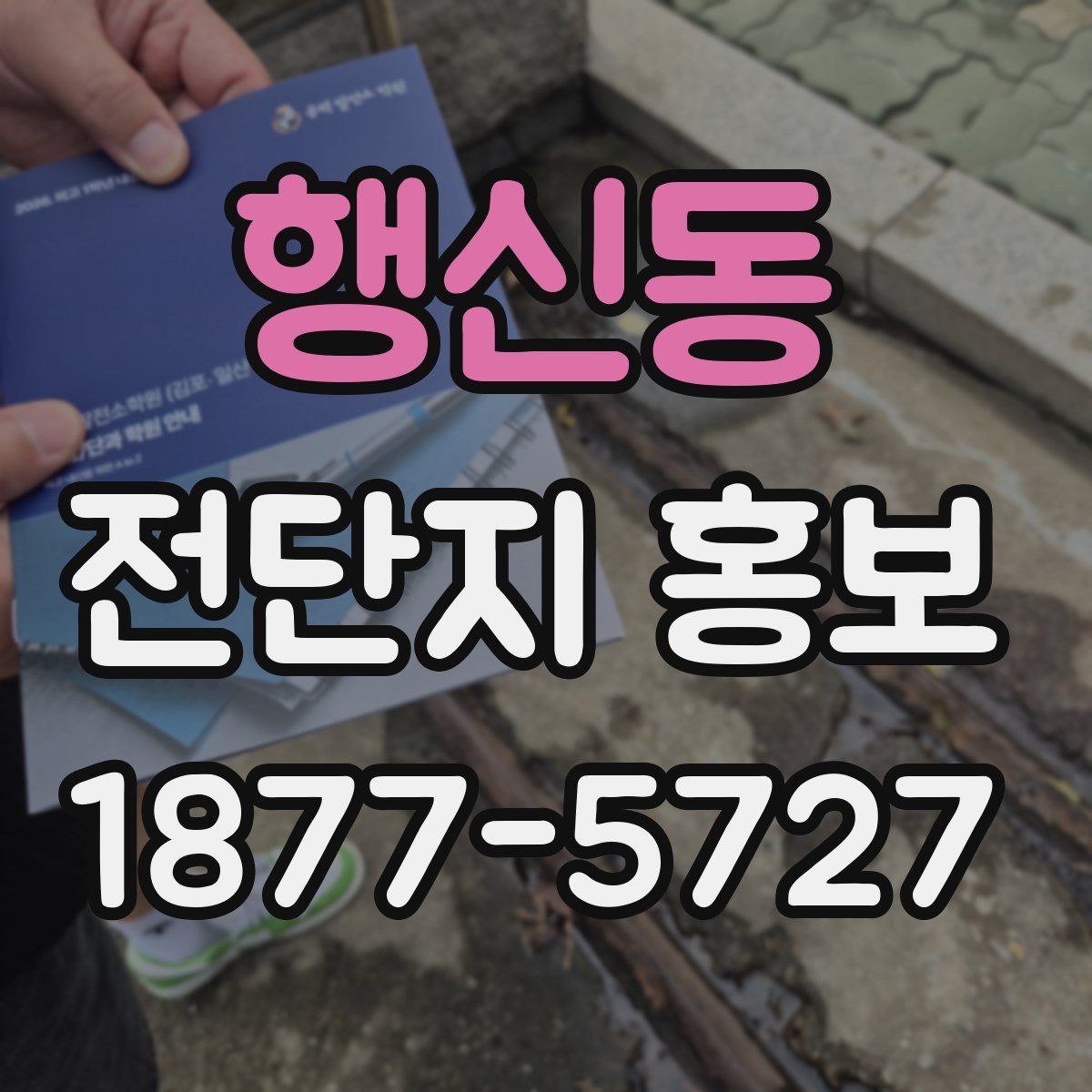 행신동 전단지 홍보