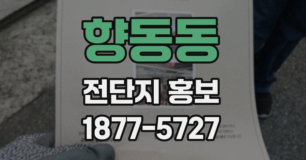 향동동 전단지 홍보
