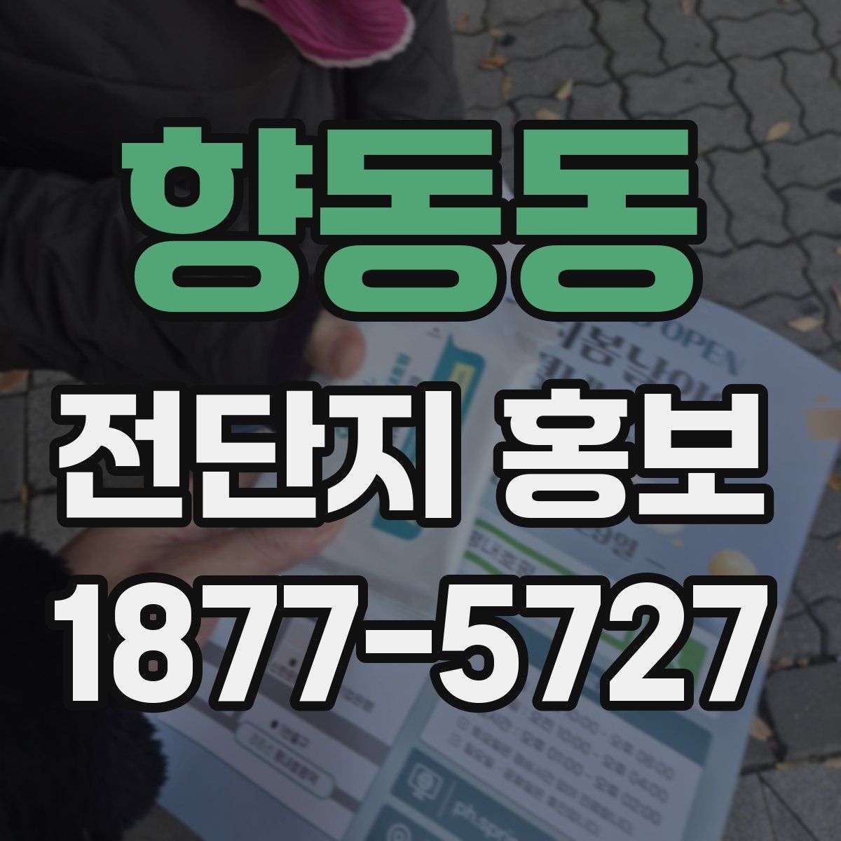 향동동 전단지 홍보