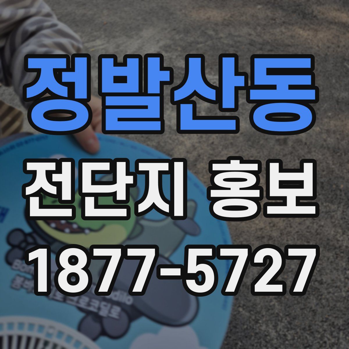 정발산동 전단지 홍보