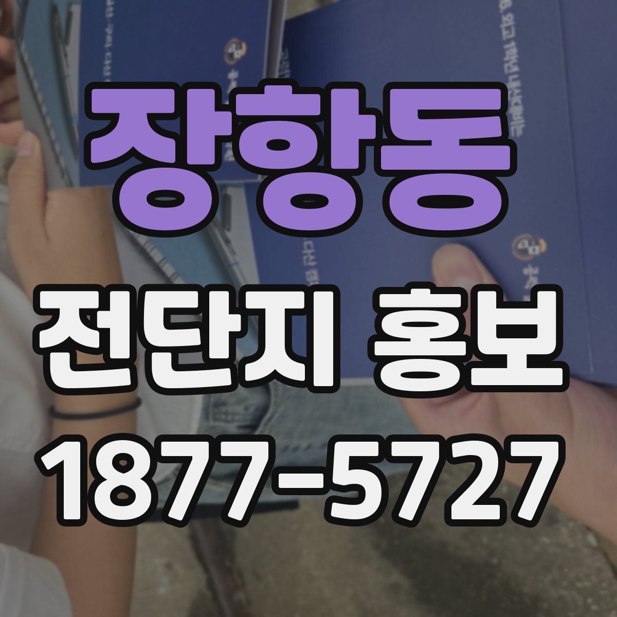 장항동 전단지 홍보