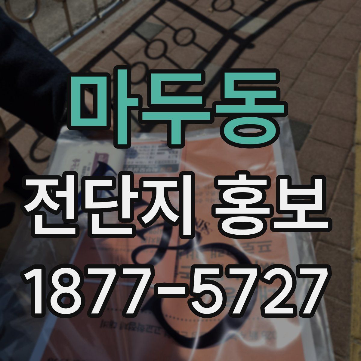 마두동 전단지 홍보