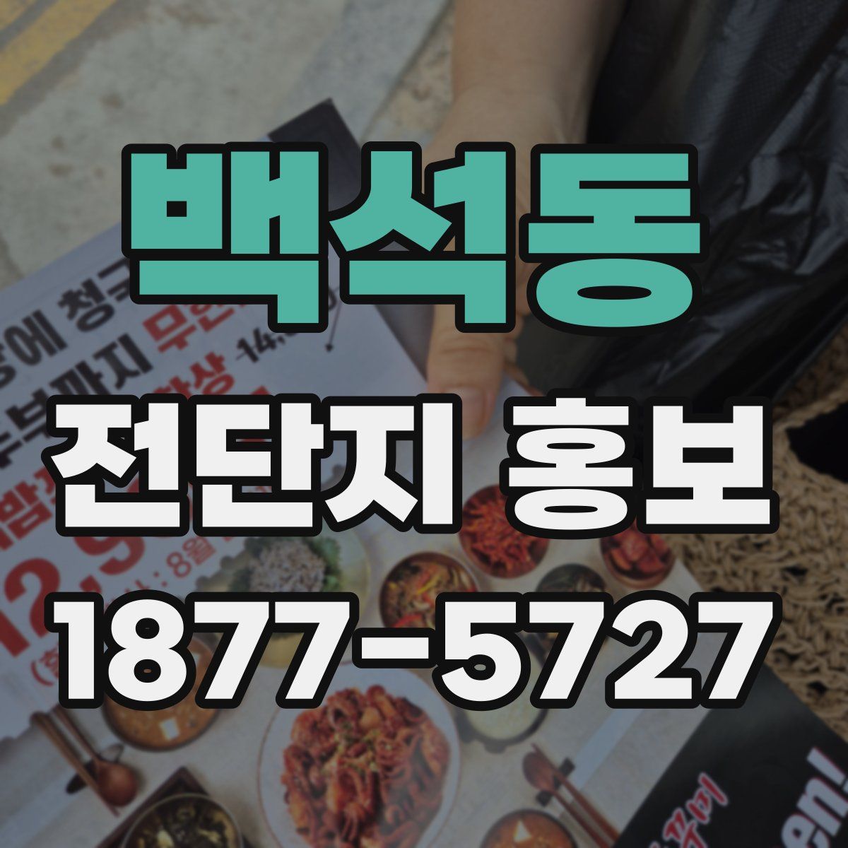 백석동 전단지 홍보