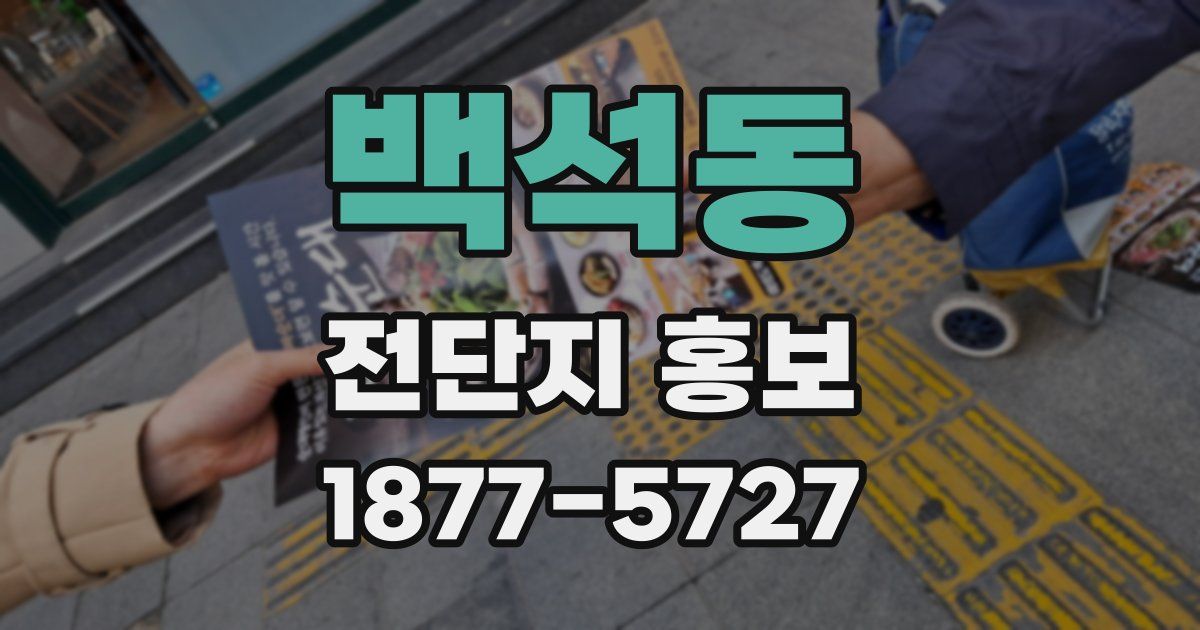 백석동 전단지 홍보