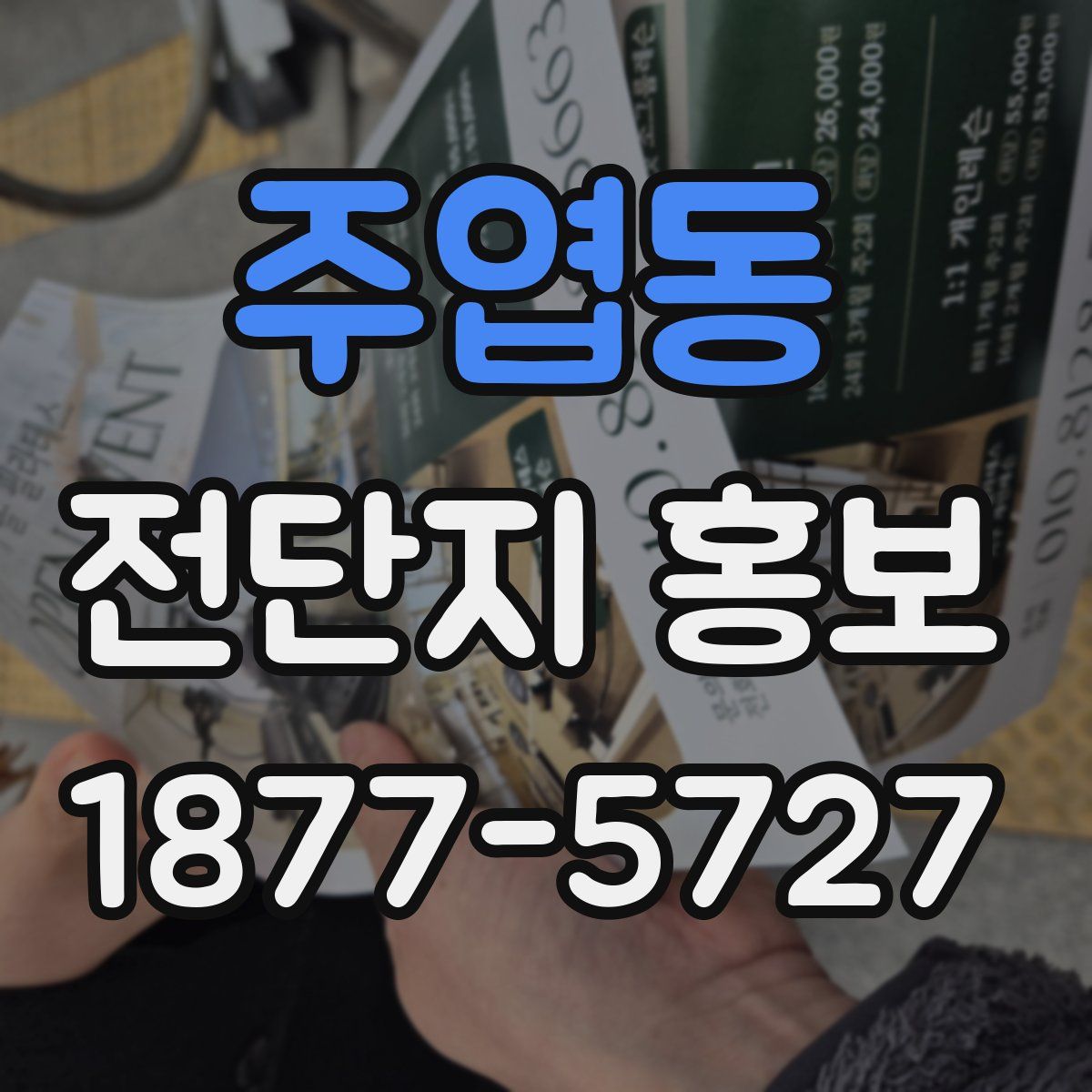 주엽동 전단지 홍보