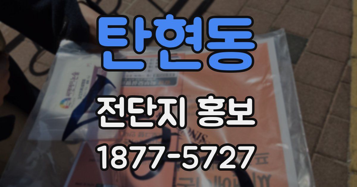 탄현동 전단지 홍보