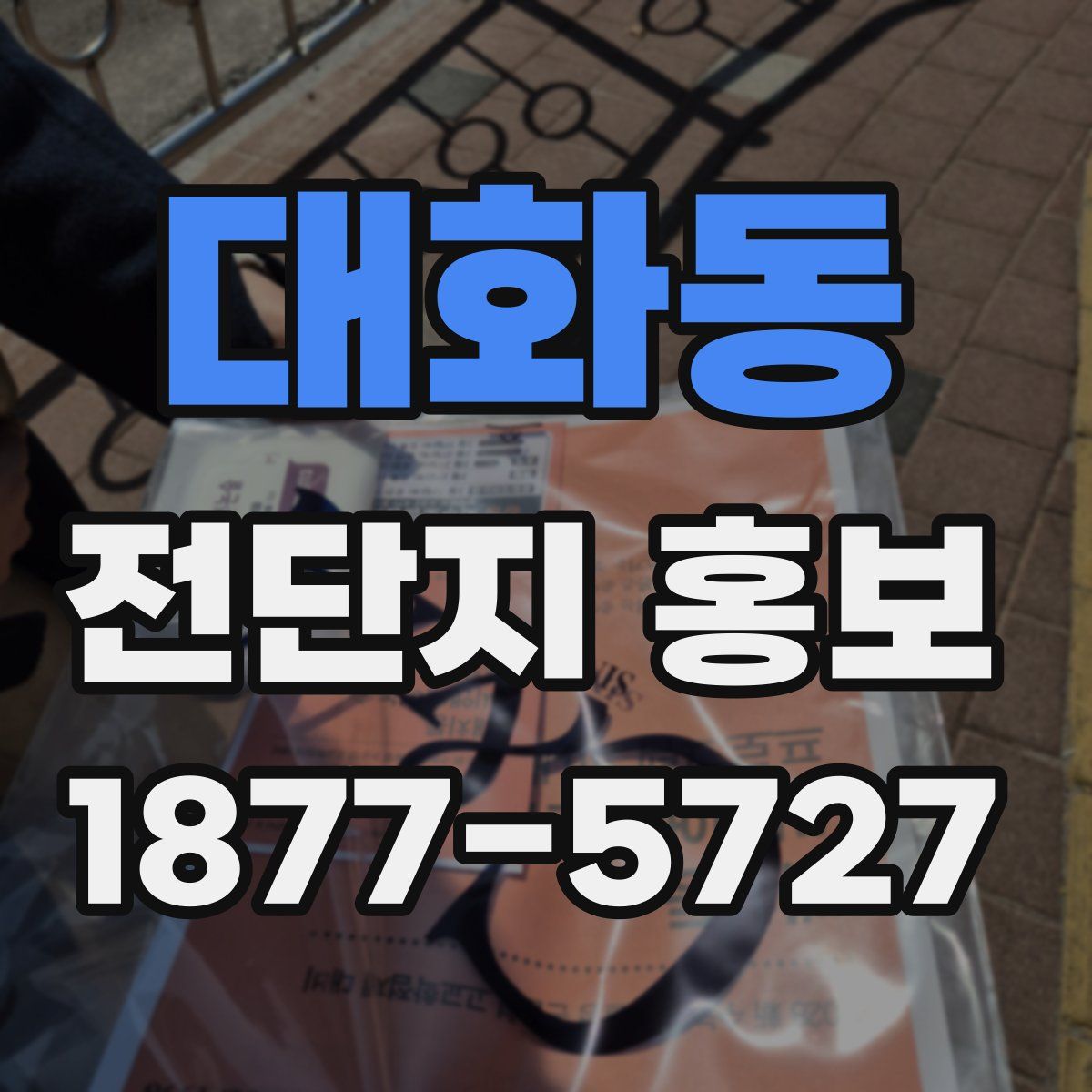 대화동 전단지 홍보