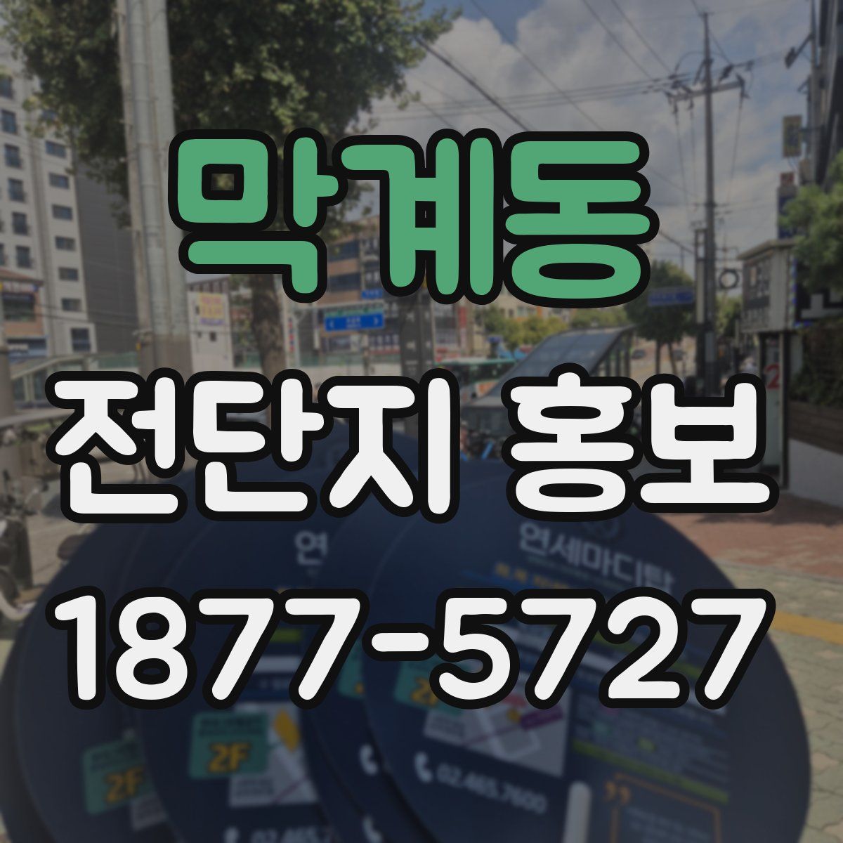 막계동 전단지 홍보