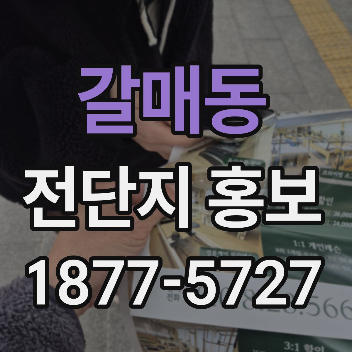 갈매동 전단지 홍보