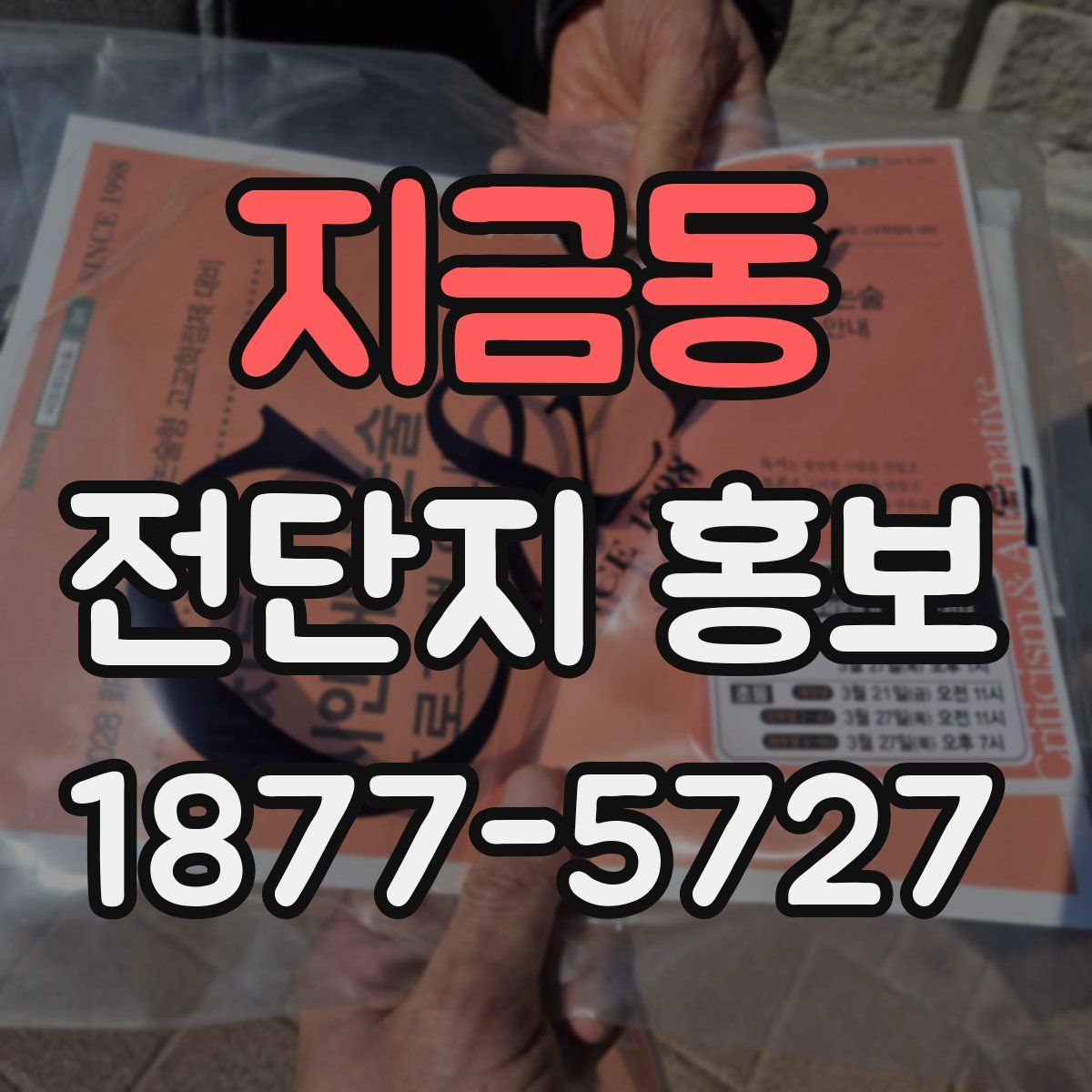 지금동 전단지 홍보
