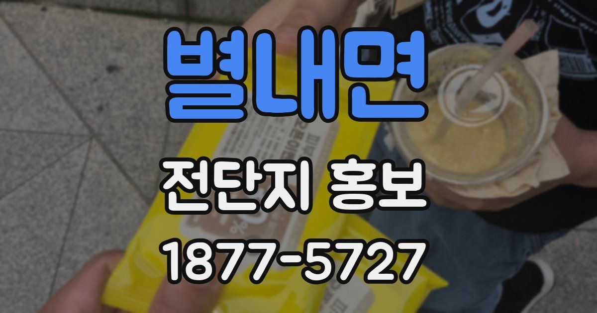별내면 전단지 홍보