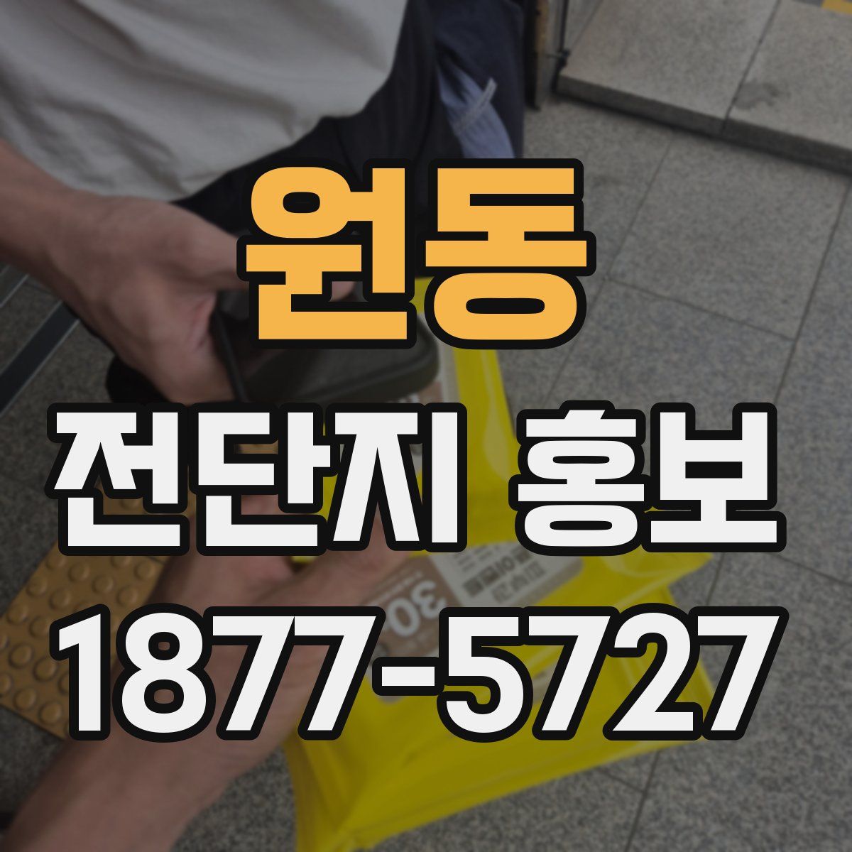 원동 전단지 홍보
