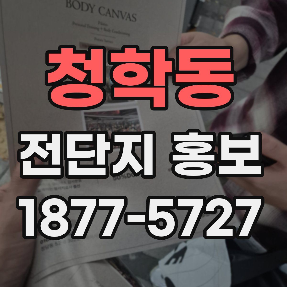 청학동 전단지 홍보
