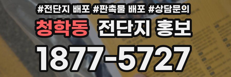 청학동 전단지 홍보