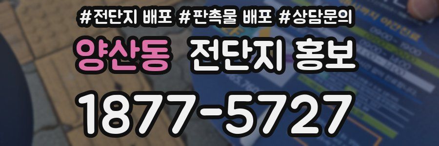 양산동 전단지 홍보