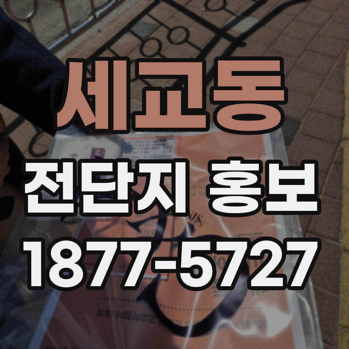 세교동 전단지 홍보