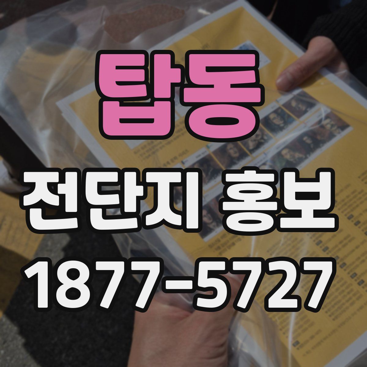 탑동 전단지 홍보