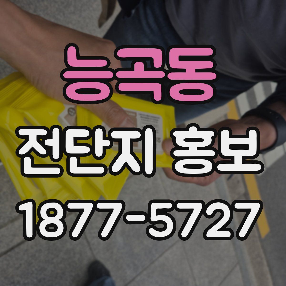 능곡동 전단지 홍보