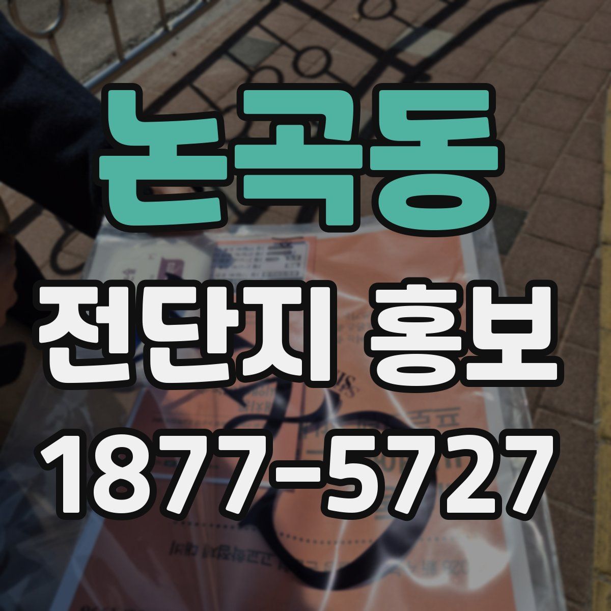 논곡동 전단지 홍보