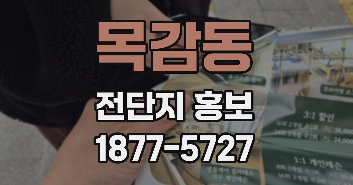 목감동 전단지 홍보