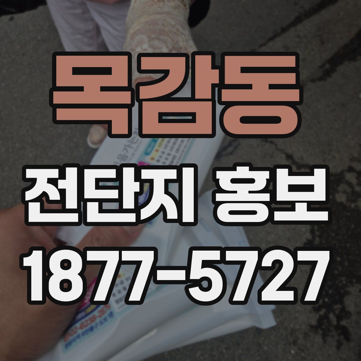 목감동 전단지 홍보