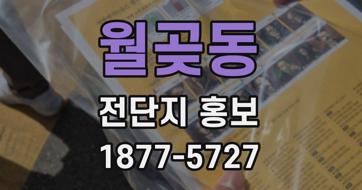 월곶동 전단지 홍보
