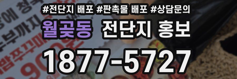 월곶동 전단지 홍보
