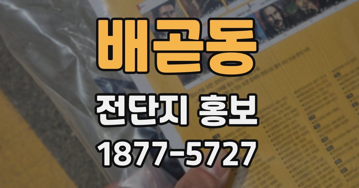 배곧동 전단지 홍보