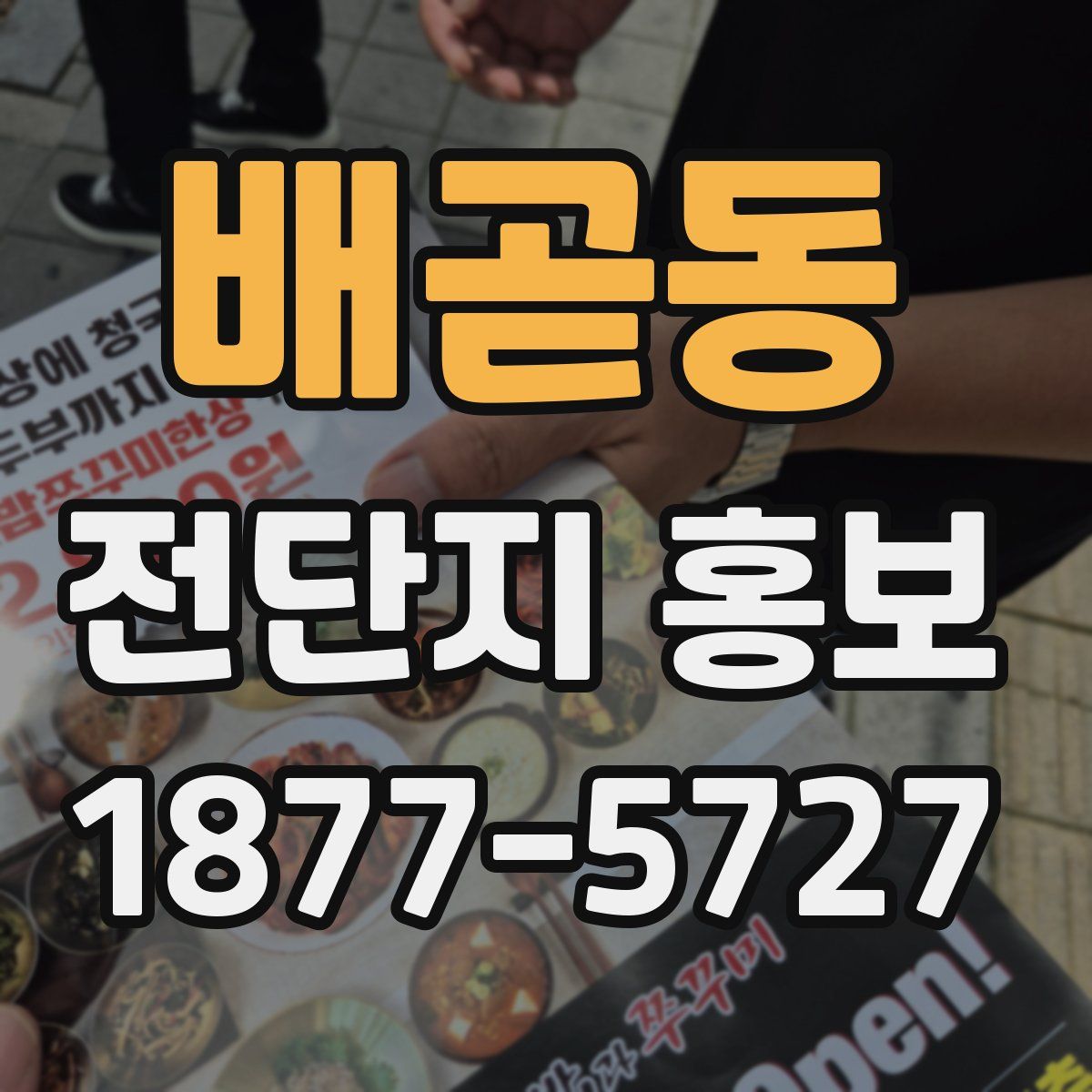 배곧동 전단지 홍보