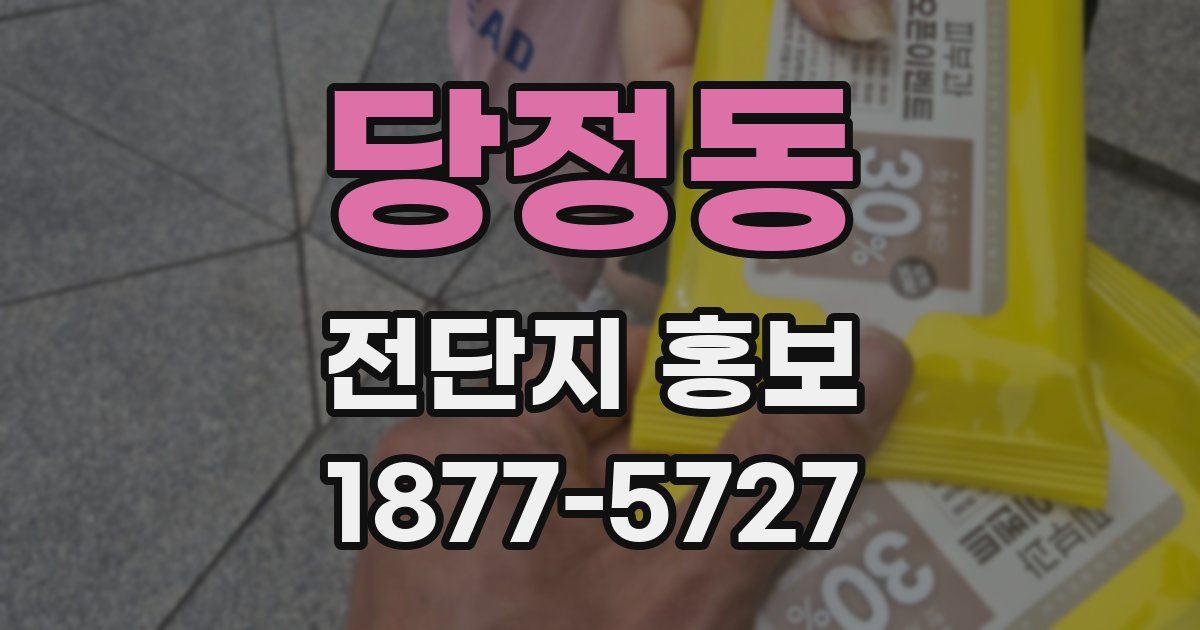 당정동 전단지 홍보