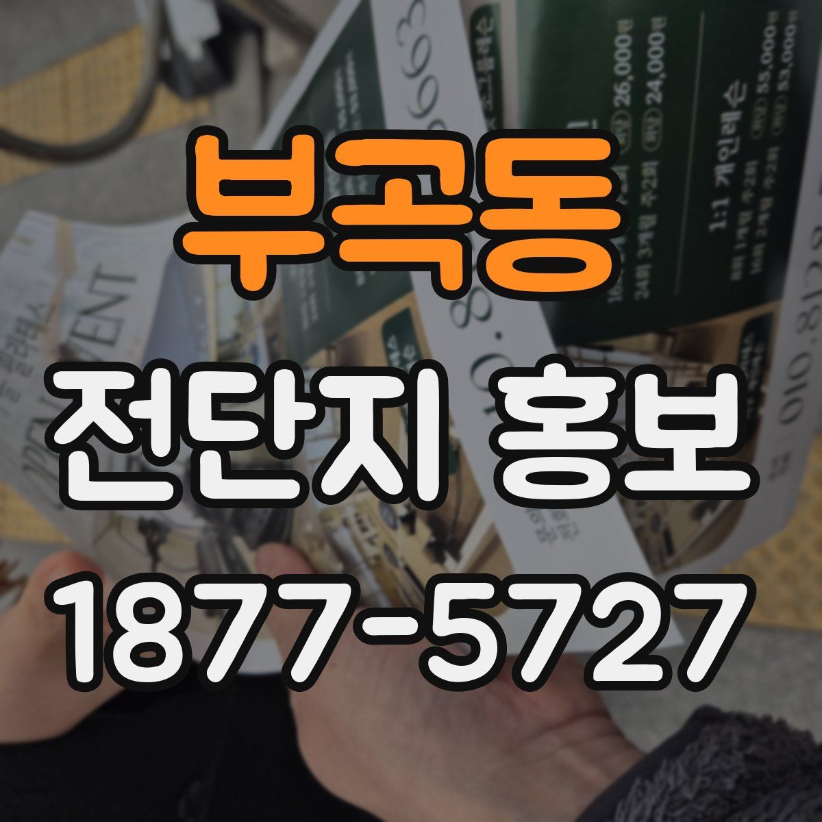 부곡동 전단지 홍보