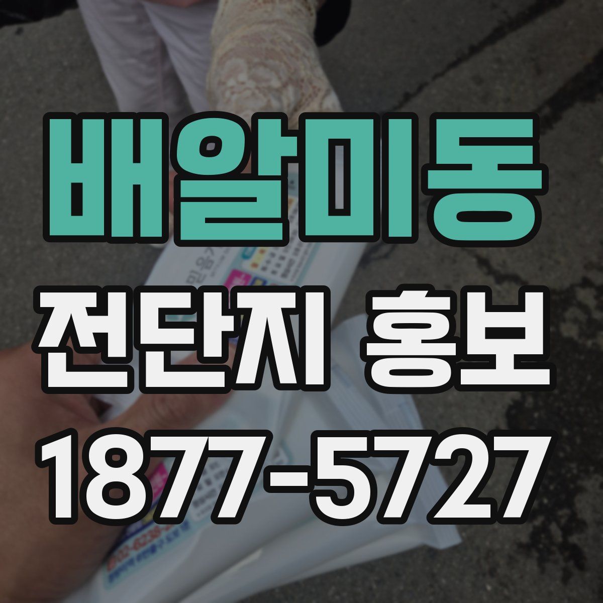 배알미동 전단지 홍보