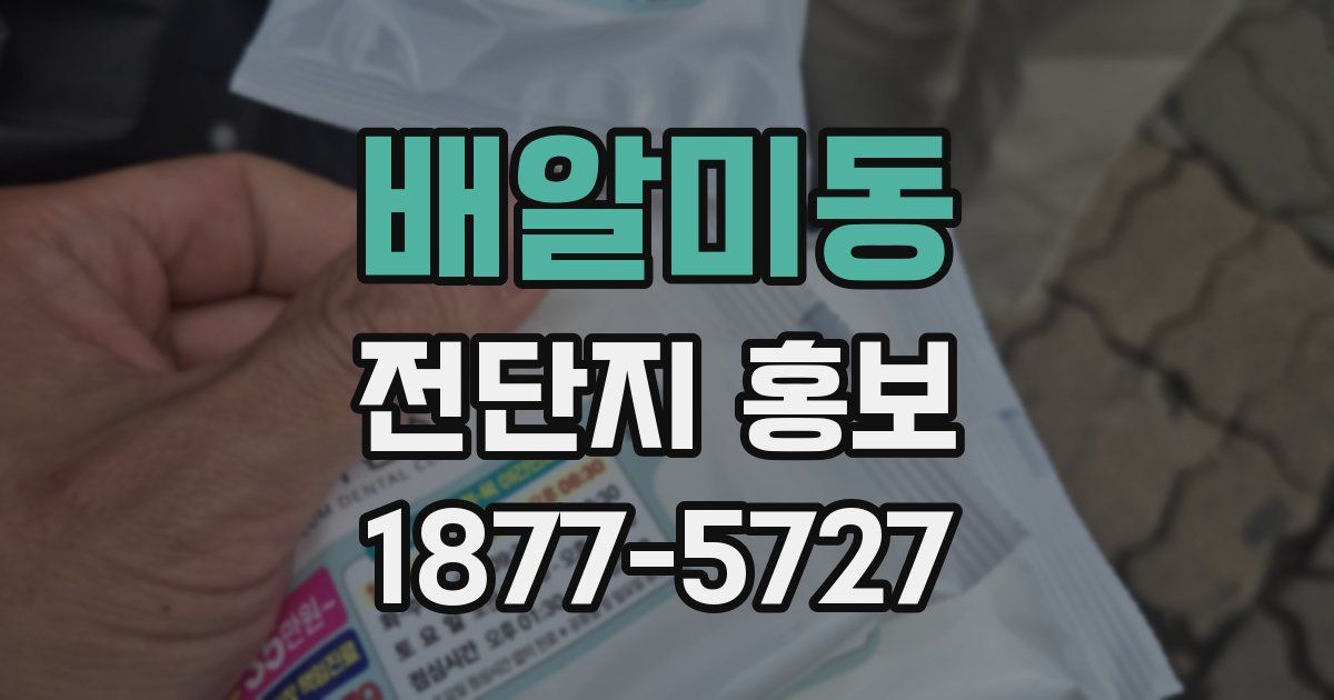 배알미동 전단지 홍보