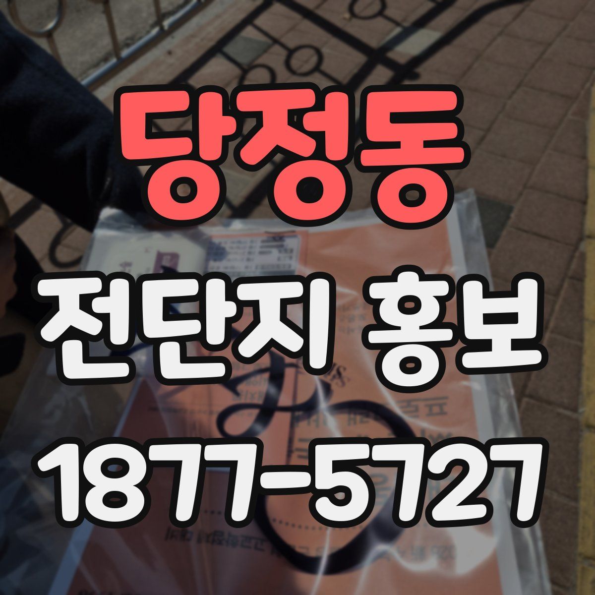 당정동 전단지 홍보