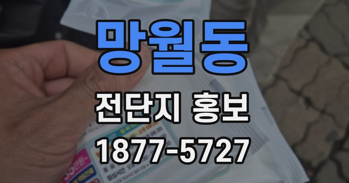 망월동 전단지 홍보