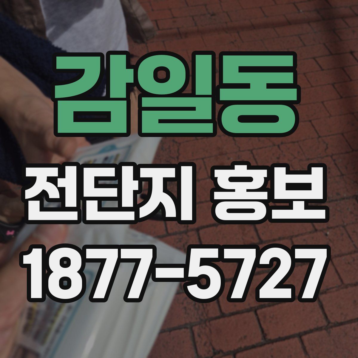 감일동 전단지 홍보