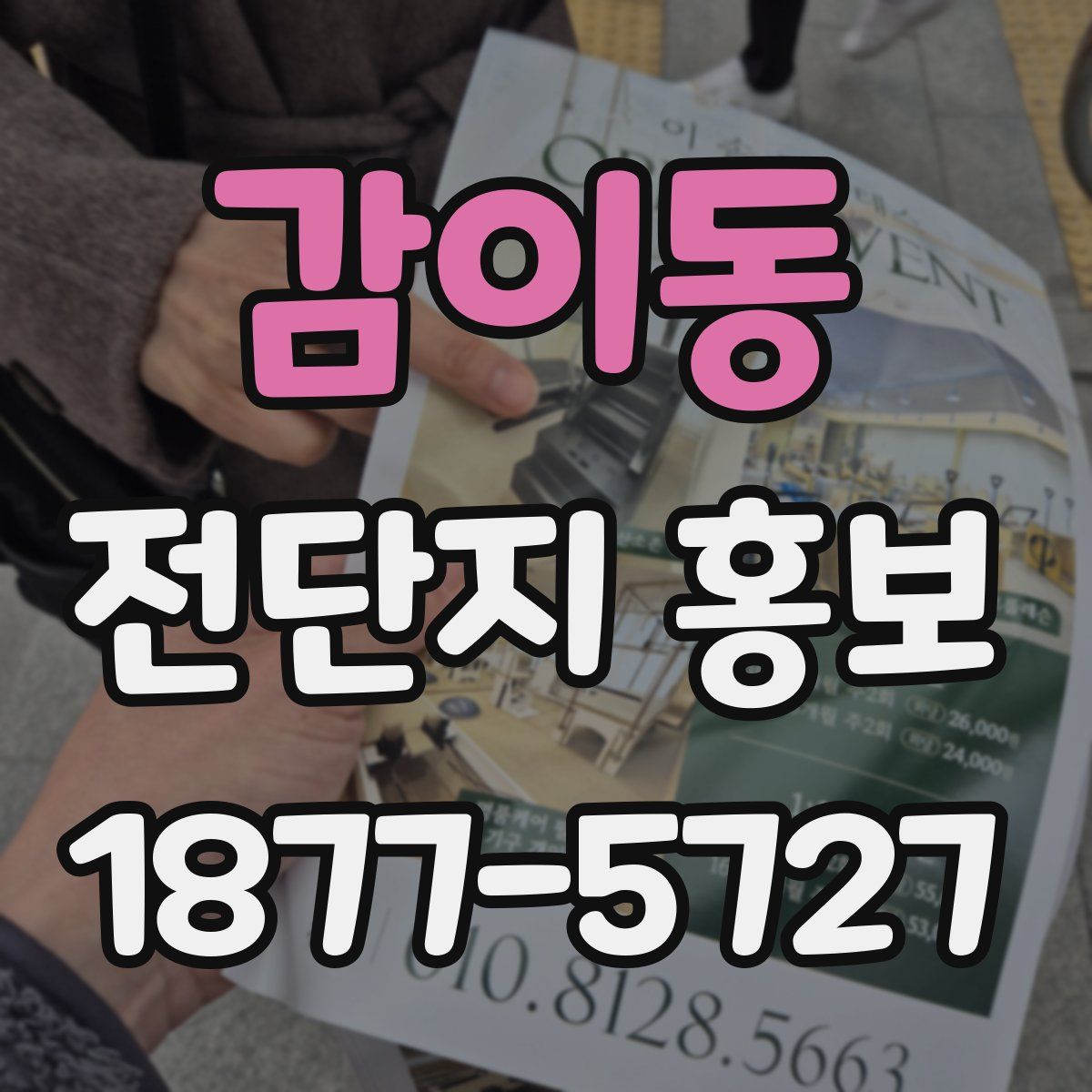 감이동 전단지 홍보
