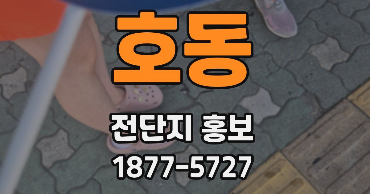 호동 전단지 홍보