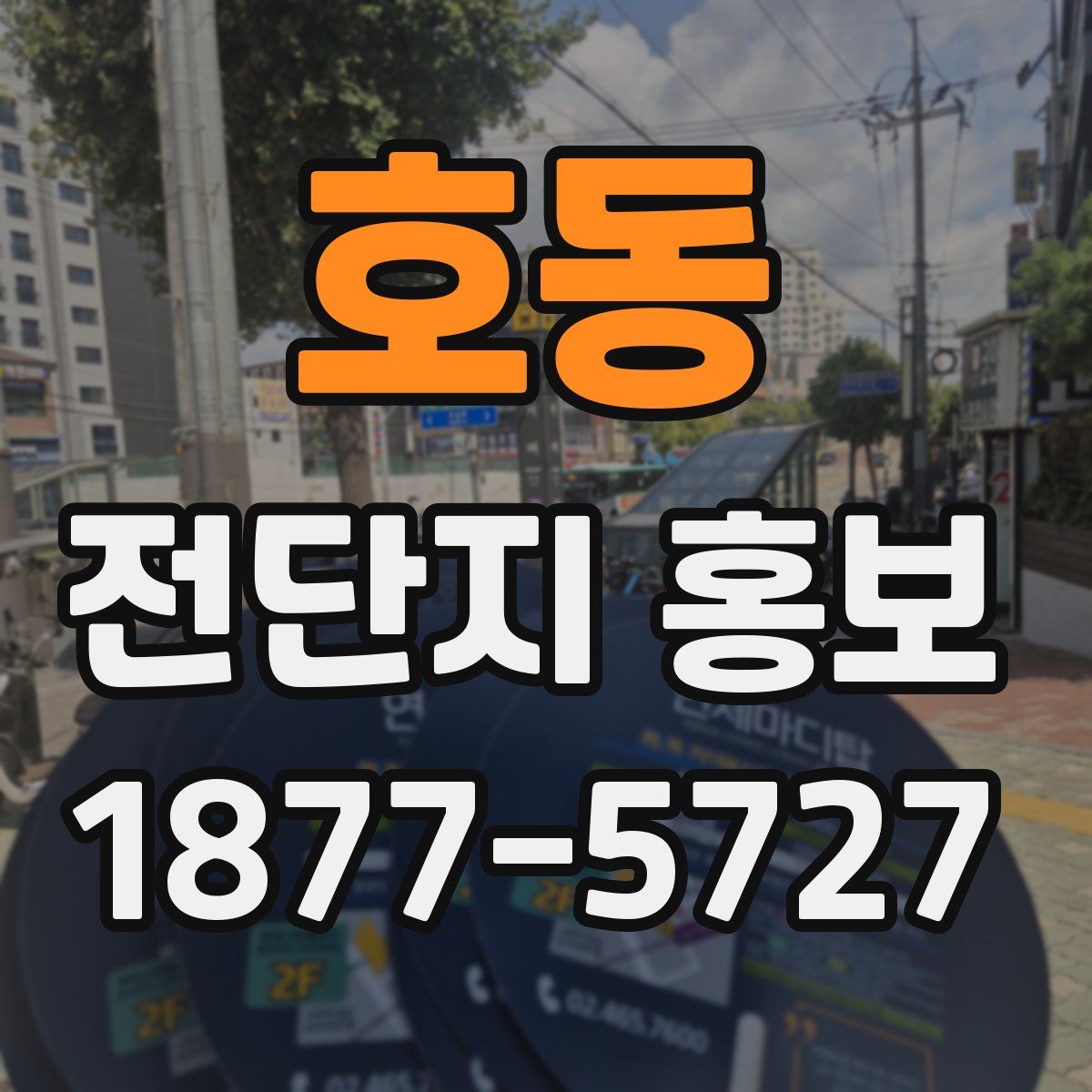 호동 전단지 홍보