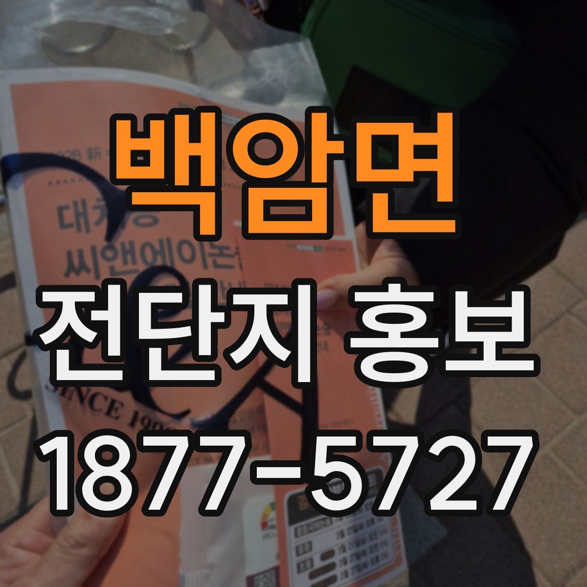 백암면 전단지 홍보