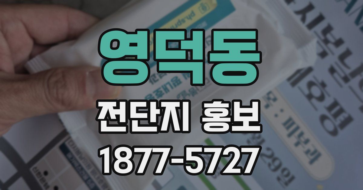 영덕동 전단지 홍보