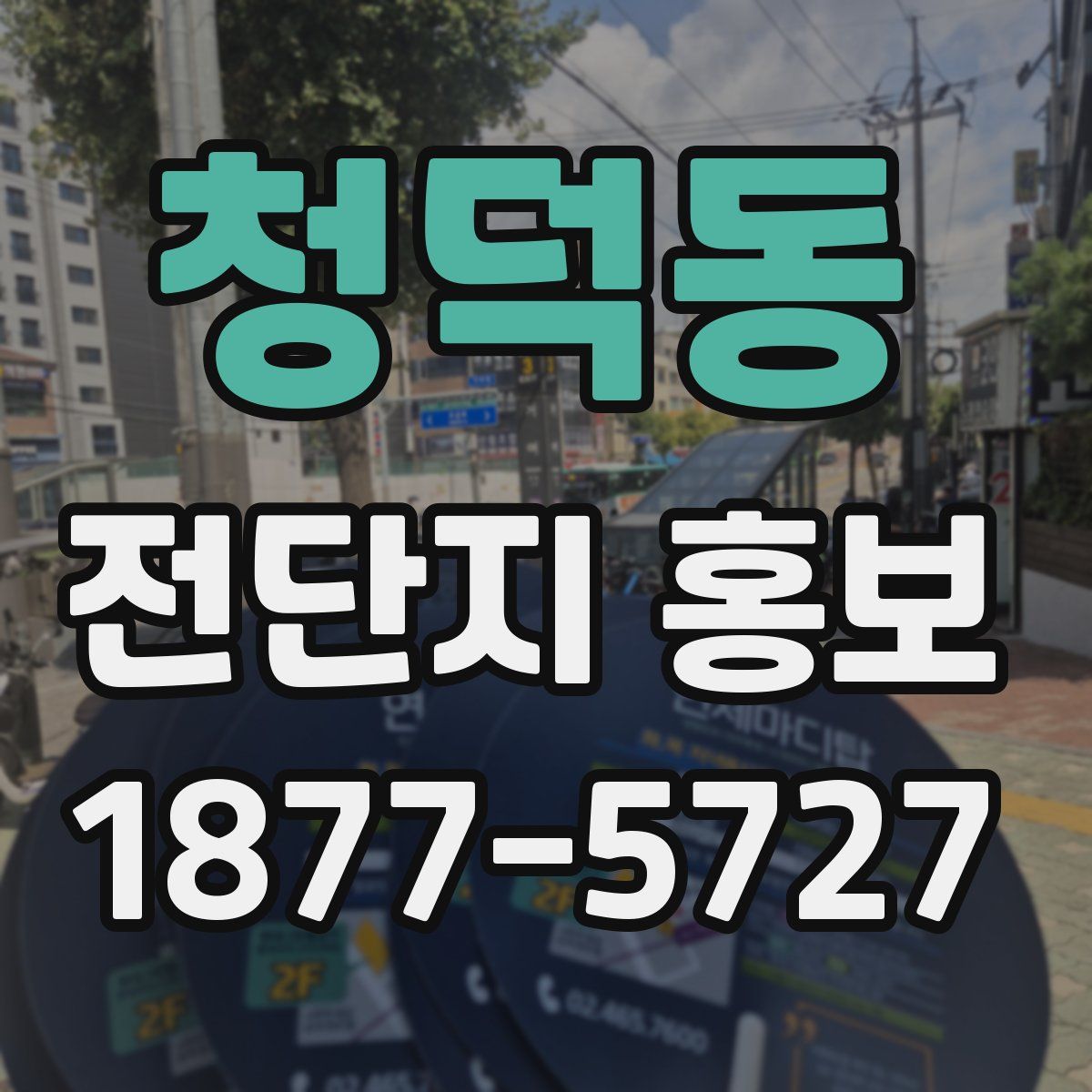 청덕동 전단지 홍보