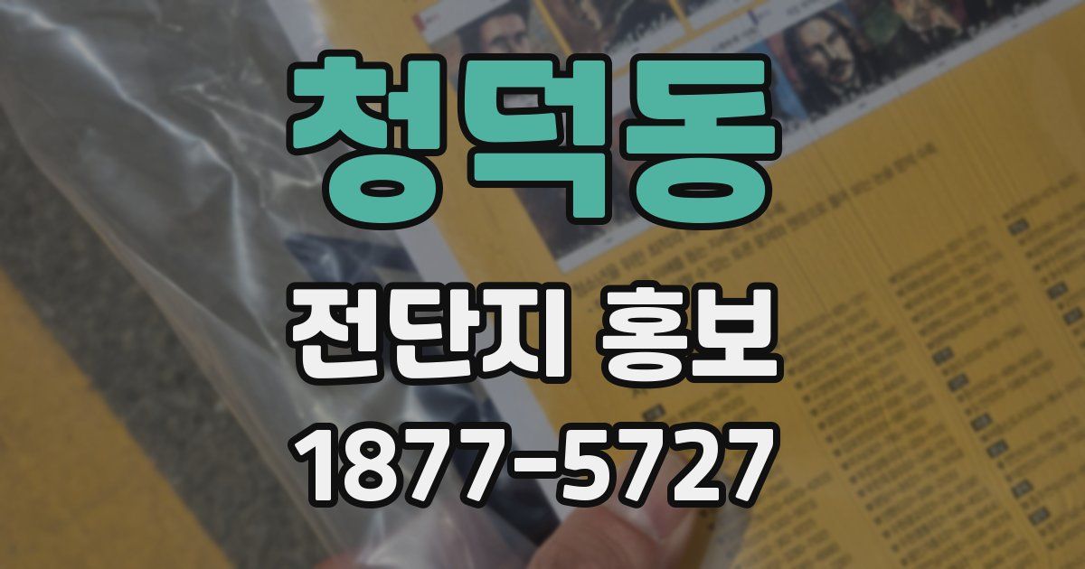 청덕동 전단지 홍보