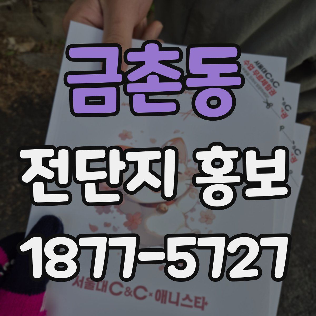 금촌동 전단지 홍보