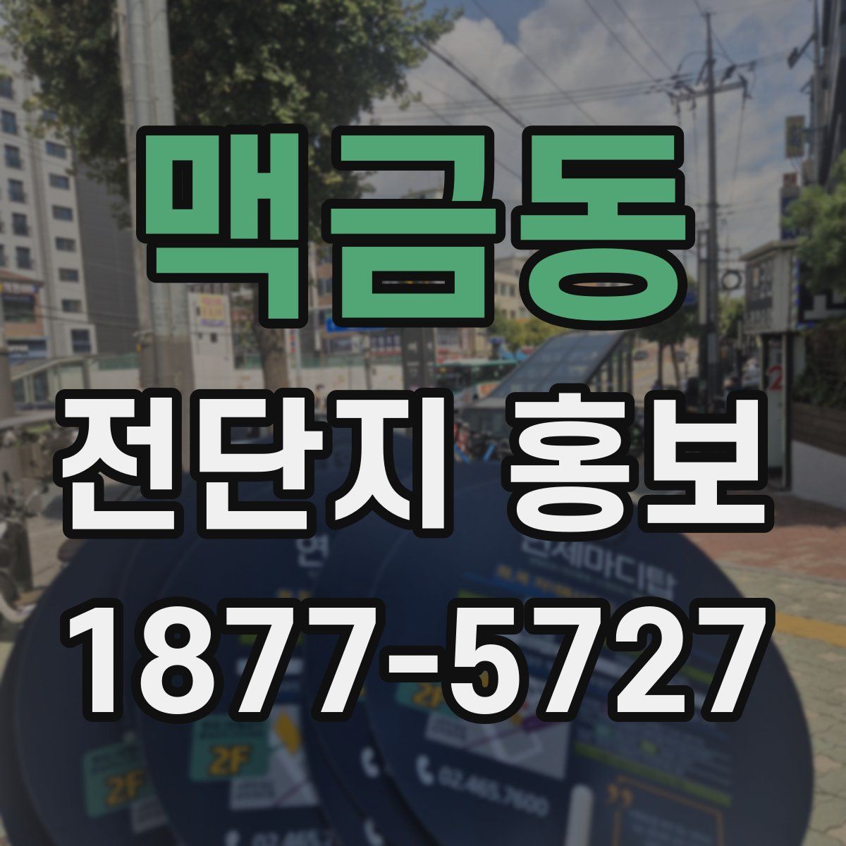 맥금동 전단지 홍보