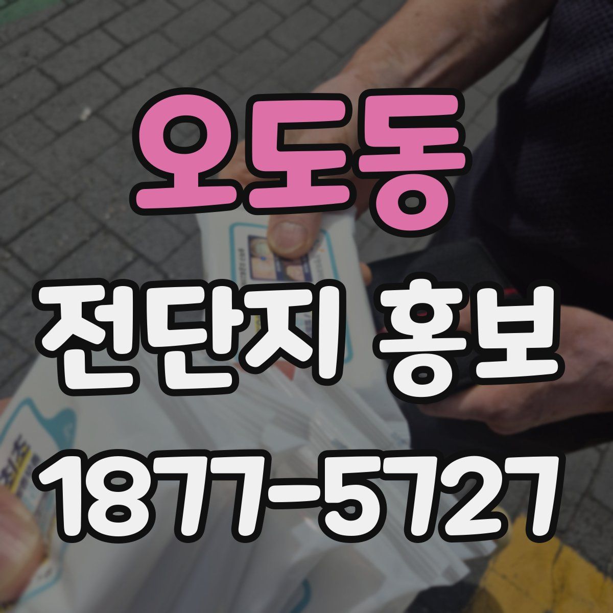 오도동 전단지 홍보