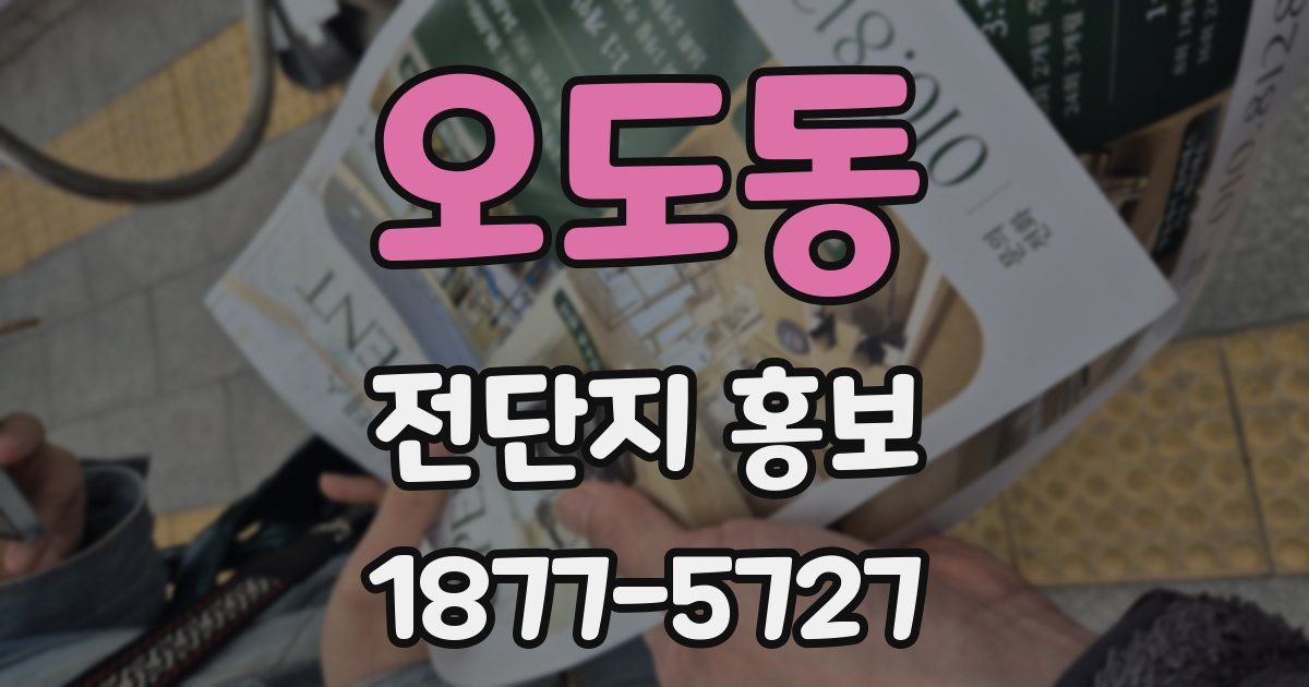 오도동 전단지 홍보